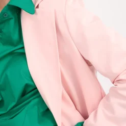 Blazer Carly