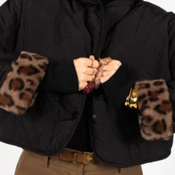 Bomber Rainy
